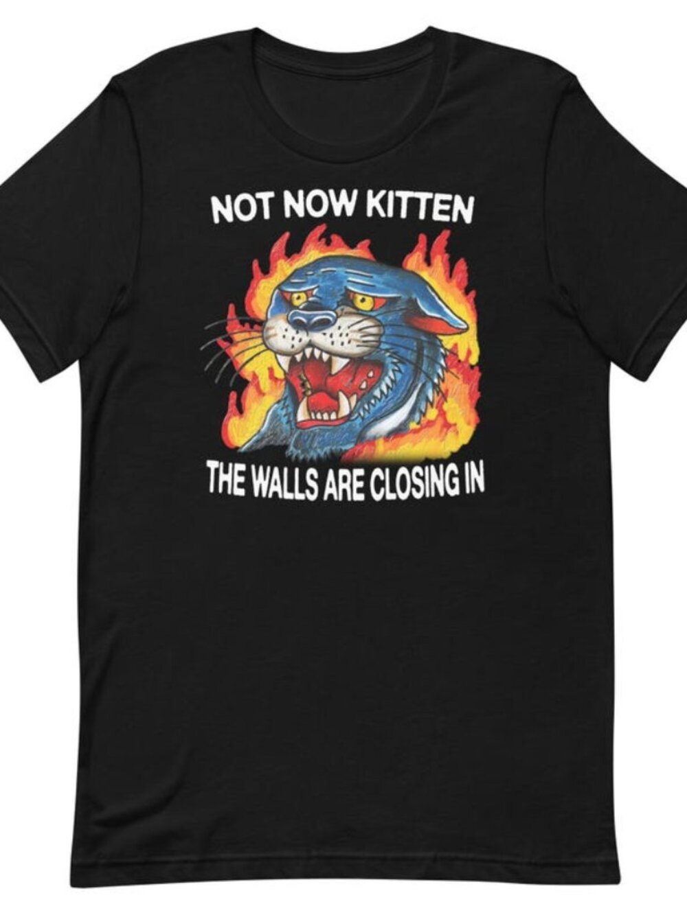 Not Now Kitten Unisex t-shirt